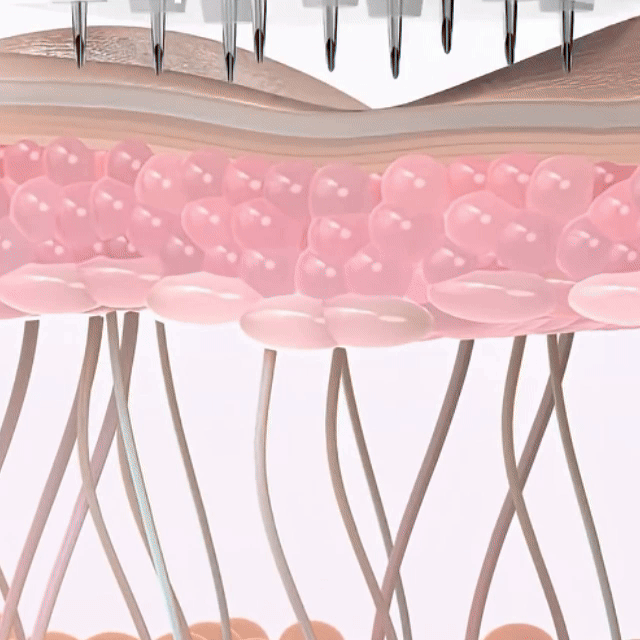 Visibly Rejuvenates Your Skin